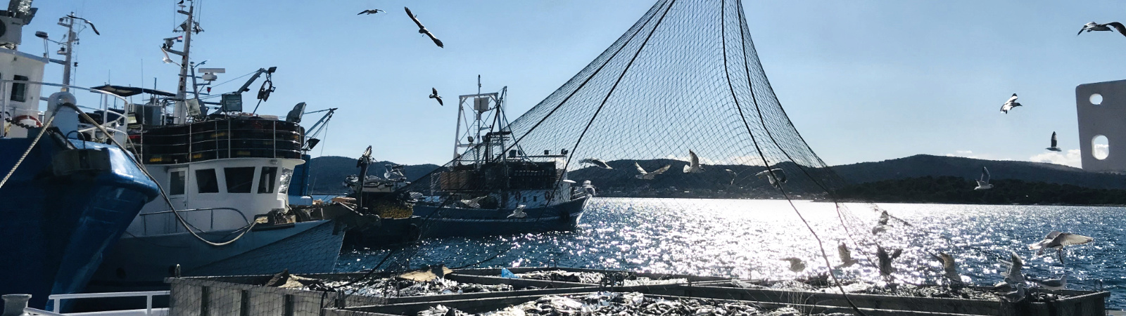 Fisheries