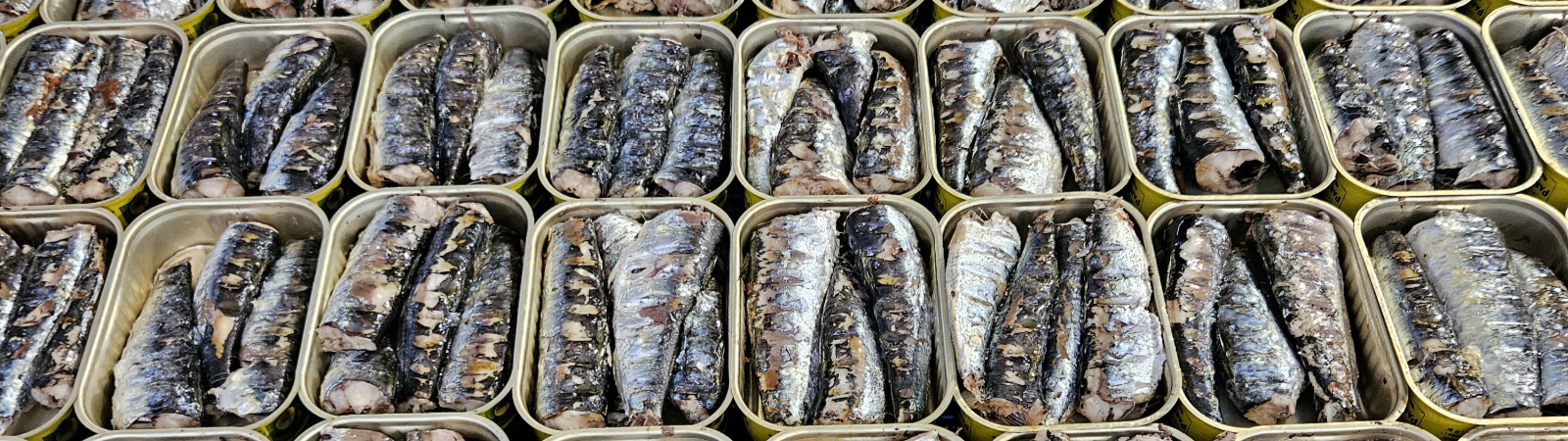 Seafood Markets, Trade & Value Chains