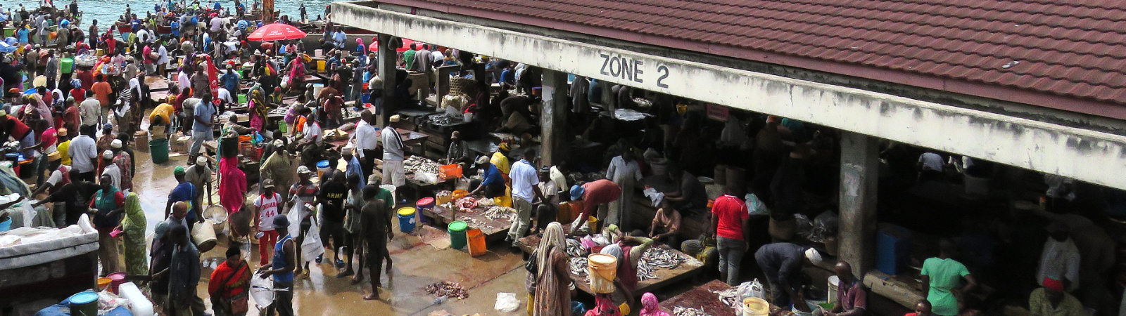 Livelihoods & Communities