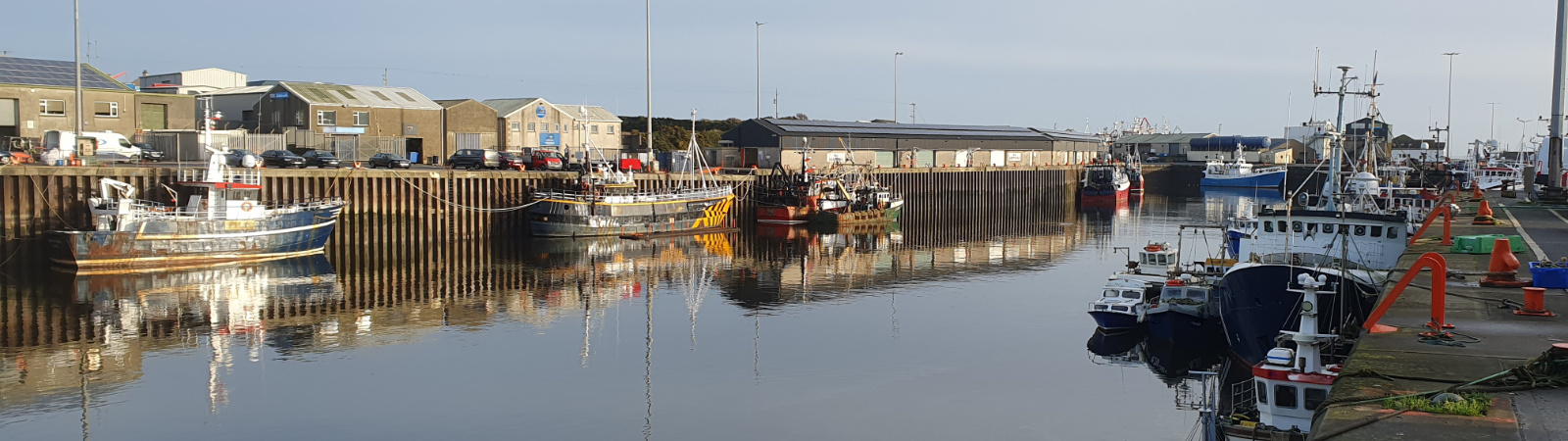 Project Design & Implementation